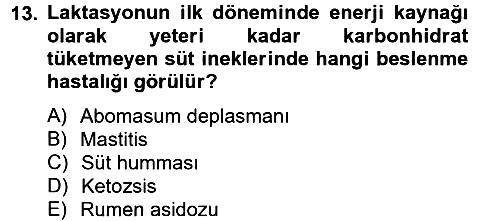 Hayvan Besleme 2012-2013 Ara Sınav - 13. soru
