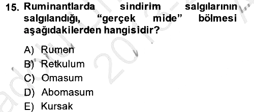 Hayvan Besleme 2013-2014 Ara Sınav - 15. soru