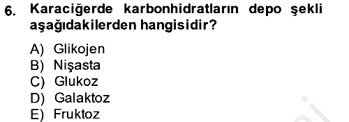 Hayvan Besleme 2014-2015 Ara Sınav - 6. soru