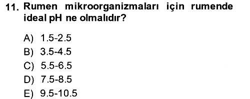 Hayvan Besleme 2014-2015 Ara Sınav - 11. soru