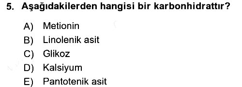 Hayvan Besleme 2015-2016 Ara Sınav - 5. soru