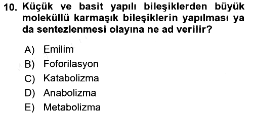 Hayvan Besleme 2015-2016 Ara Sınav - 10. soru