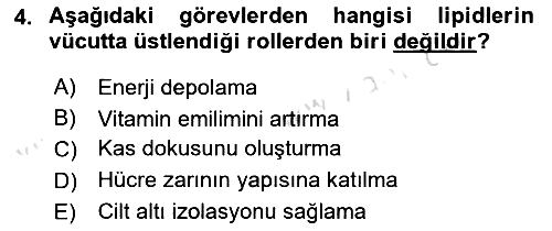 Hayvan Besleme 2024-2025 Ara Sınav - 4. soru