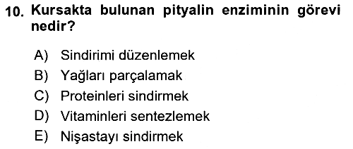 Hayvan Besleme 2024-2025 Ara Sınav - 10. soru