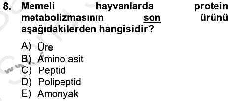 Hayvan Besleme 2012-2013 Dönem Sonu Sınavı - 8. soru