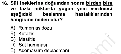Hayvan Besleme 2012-2013 Dönem Sonu Sınavı - 16. soru