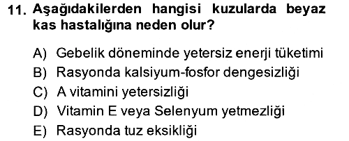 Hayvan Besleme 2013-2014 Dönem Sonu Sınavı - 11. soru