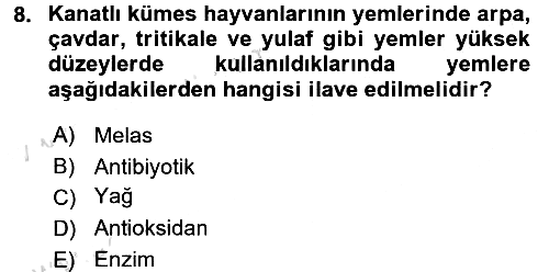 Hayvan Besleme 2015-2016 Dönem Sonu Sınavı - 8. soru