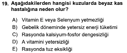 Hayvan Besleme 2015-2016 Dönem Sonu Sınavı - 19. soru