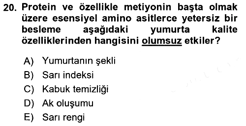 Hayvan Besleme 2018-2019 Dönem Sonu Sınavı - 20. soru