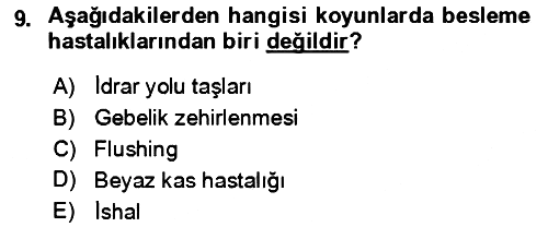 Hayvan Besleme 2024-2025 Dönem Sonu Sınavı - 9. soru