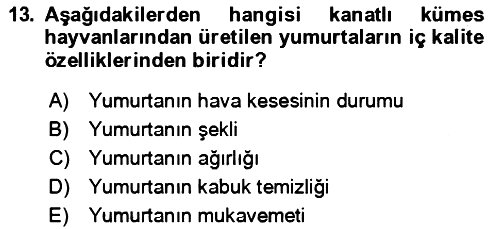 Hayvan Besleme 2024-2025 Dönem Sonu Sınavı - 13. soru