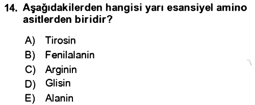 Hayvan Besleme 2024-2025 Dönem Sonu Sınavı - 14. soru