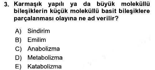 Hayvan Besleme 2015-2016 Tek Ders Sınavı - 3. soru