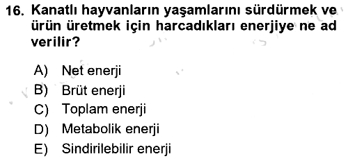 Hayvan Besleme 2021-2022 Yaz Okulu Sınavı - 16. soru