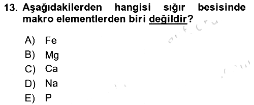 Hayvan Besleme 2022-2023 Yaz Okulu Sınavı - 13. soru