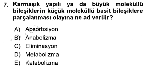 Hayvan Besleme 2023-2024 Yaz Okulu Sınavı - 7. soru