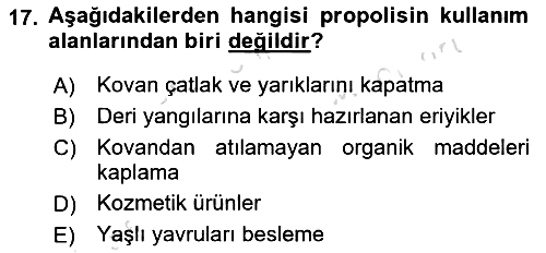 Hayvan Yetiştirme 2018-2019 3 Ders Sınavı - 17. soru