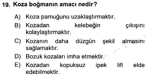 Hayvan Yetiştirme 2018-2019 3 Ders Sınavı - 19. soru