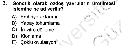 Hayvan Yetiştirme 2012-2013 Ara Sınav - 3. soru