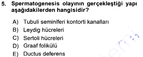 Hayvan Yetiştirme 2015-2016 Ara Sınav - 5. soru