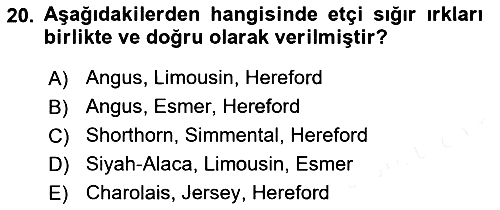 Hayvan Yetiştirme 2018-2019 Ara Sınav - 20. soru