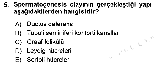 Hayvan Yetiştirme 2019-2020 Ara Sınav - 5. soru