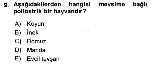 Hayvan Yetiştirme 2022-2023 Ara Sınav - 9. soru