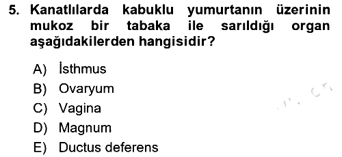 Hayvan Yetiştirme 2024-2025 Ara Sınav - 5. soru