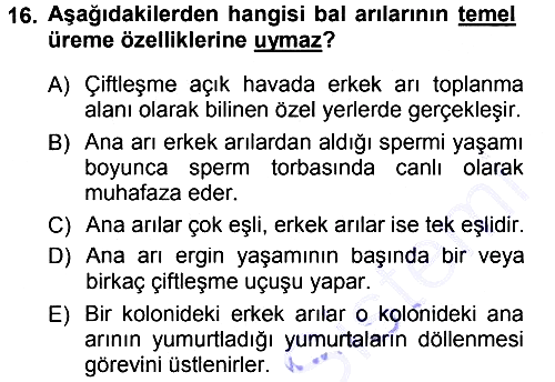 Hayvan Yetiştirme 2012-2013 Dönem Sonu Sınavı - 16. soru