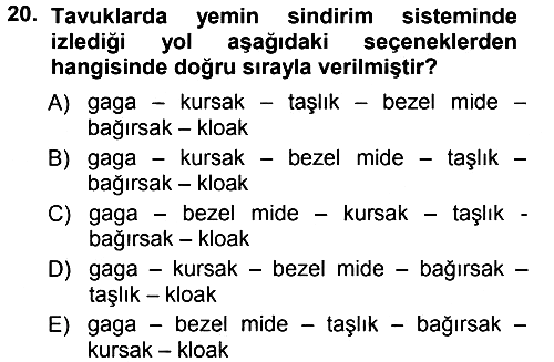 Hayvan Yetiştirme 2012-2013 Dönem Sonu Sınavı - 20. soru