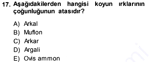 Hayvan Yetiştirme 2013-2014 Dönem Sonu Sınavı - 17. soru