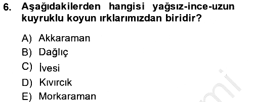 Hayvan Yetiştirme 2014-2015 Dönem Sonu Sınavı - 6. soru