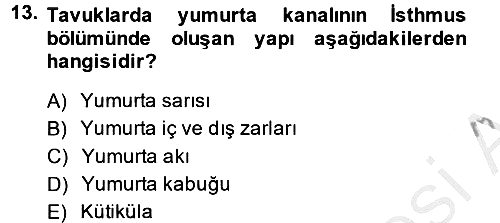 Hayvan Yetiştirme 2014-2015 Dönem Sonu Sınavı - 13. soru