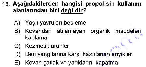 Hayvan Yetiştirme 2015-2016 Dönem Sonu Sınavı - 16. soru