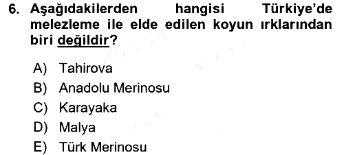 Hayvan Yetiştirme 2016-2017 Dönem Sonu Sınavı - 6. soru