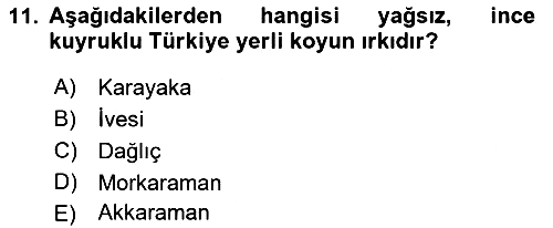 Hayvan Yetiştirme 2017-2018 Dönem Sonu Sınavı - 11. soru