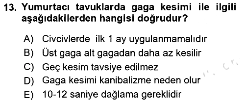 Hayvan Yetiştirme 2024-2025 Dönem Sonu Sınavı - 13. soru