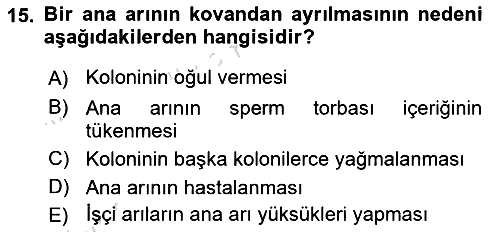Hayvan Yetiştirme 2024-2025 Dönem Sonu Sınavı - 15. soru