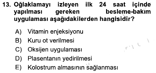 Hayvan Yetiştirme 2025-2026 Dönem Sonu Sınavı - 13. soru