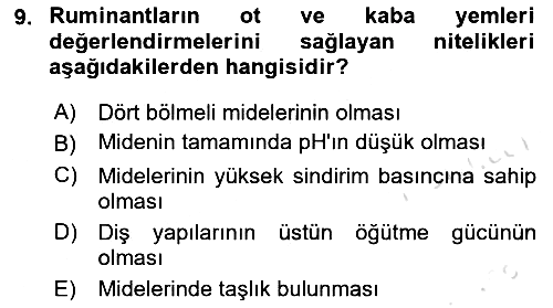 Hayvan Yetiştirme 2021-2022 Yaz Okulu Sınavı - 9. soru