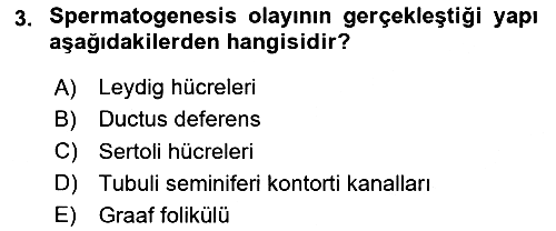 Hayvan Yetiştirme 2024-2025 Yaz Okulu Sınavı - 3. soru