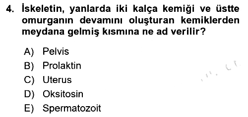 Hayvan Yetiştirme 2024-2025 Yaz Okulu Sınavı - 4. soru