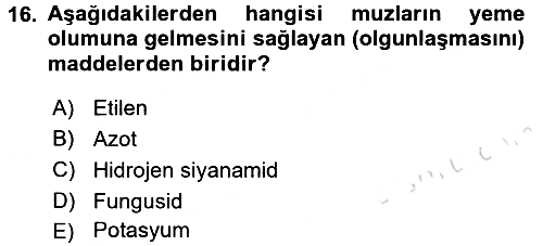Örtü Altı Üretim Sistemleri 2016-2017 Dönem Sonu Sınavı - 16. soru