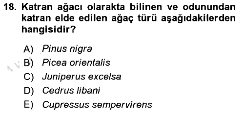Peyzaj Çevre ve Tarım 2021-2022 Ara Sınav - 18. soru
