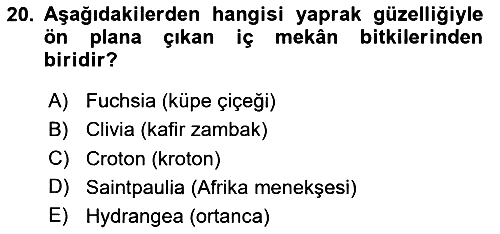 Peyzaj Çevre ve Tarım 2020-2021 Yaz Okulu Sınavı - 20. soru