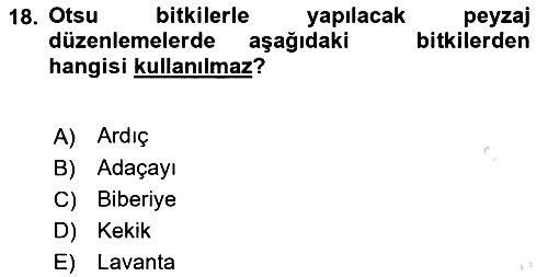 Peyzaj Çevre ve Tarım 2021-2022 Yaz Okulu Sınavı - 18. soru