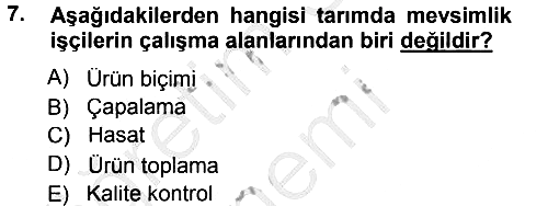 Tarım Ekonomisi 2012-2013 Ara Sınav - 7. soru