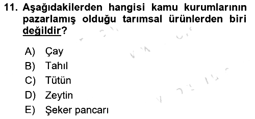 Tarım Ekonomisi 2025-2026 Dönem Sonu Sınavı - 11. soru