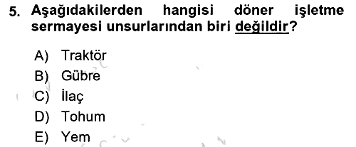 Tarım Ekonomisi 2024-2025 Yaz Okulu Sınavı - 5. soru